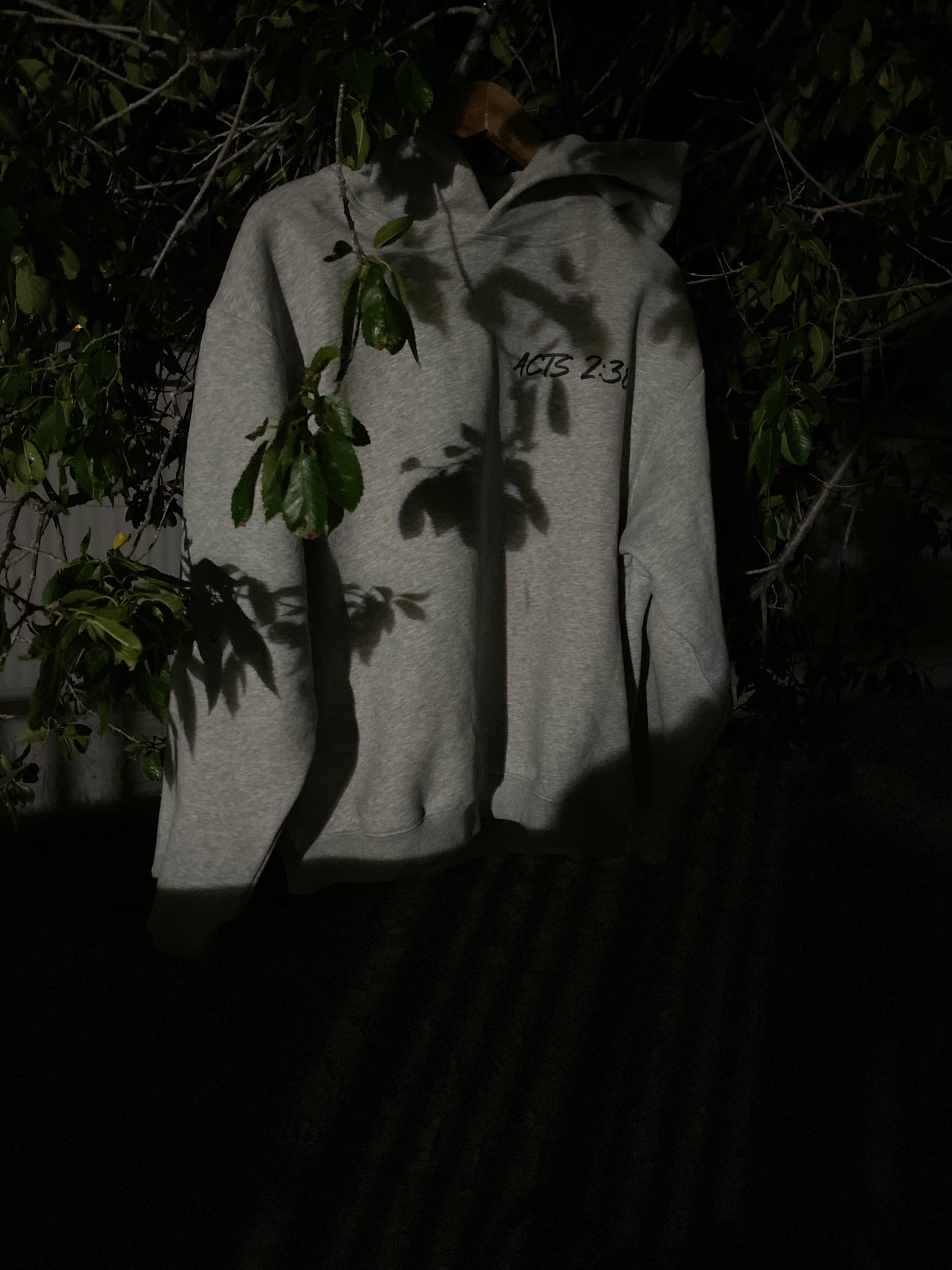 Acts 2:38 Born Again Grey Hoodie