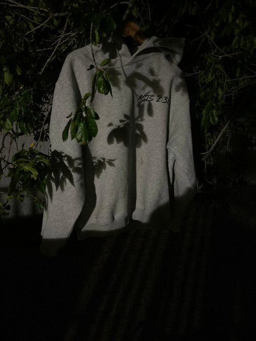 Acts 2:38 Born Again Grey Hoodie